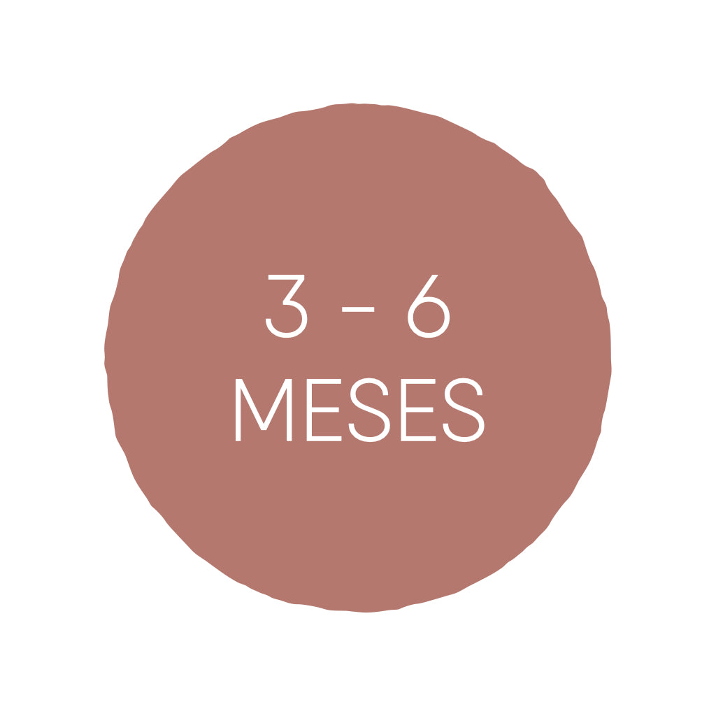 3-6 Meses