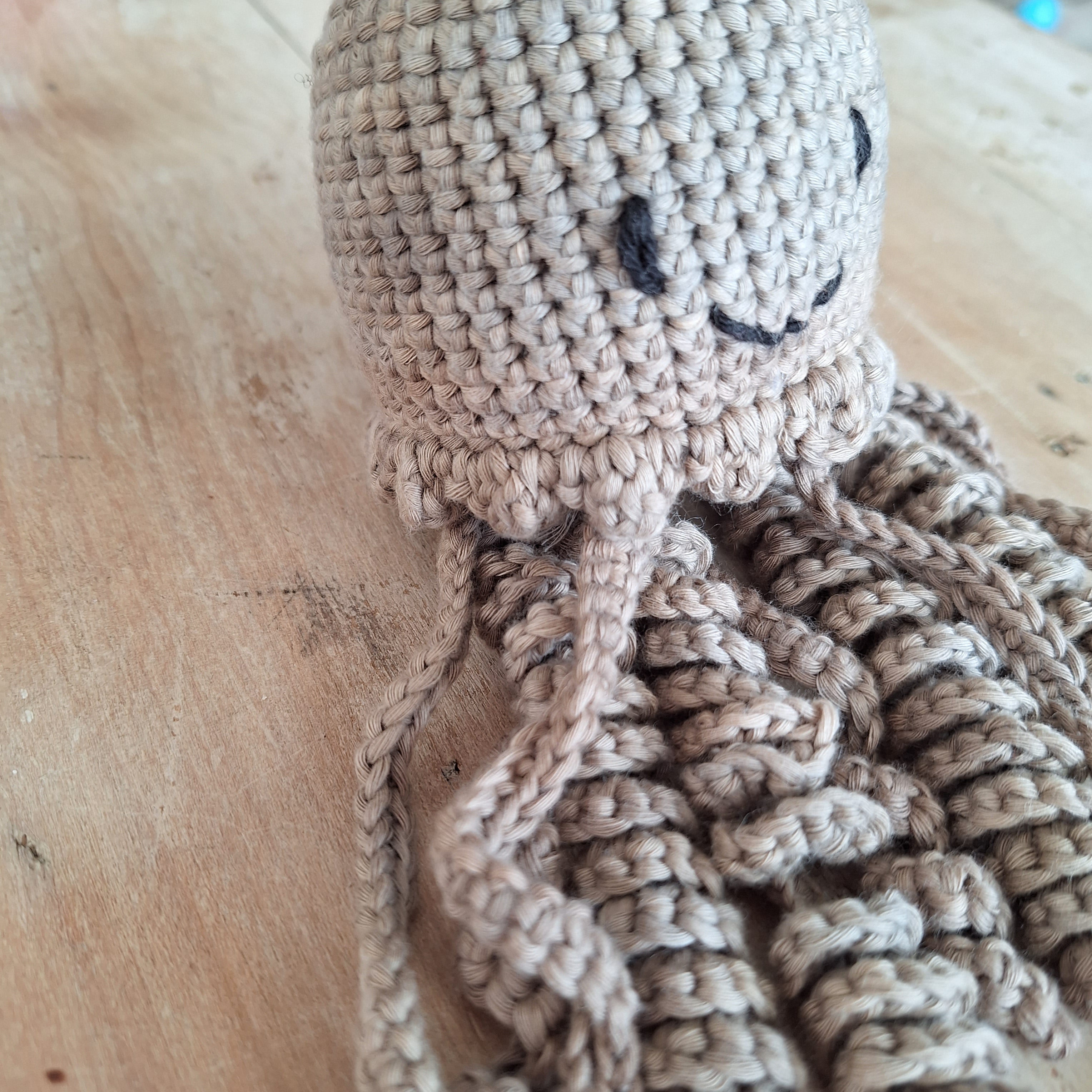 Medusa de apego café