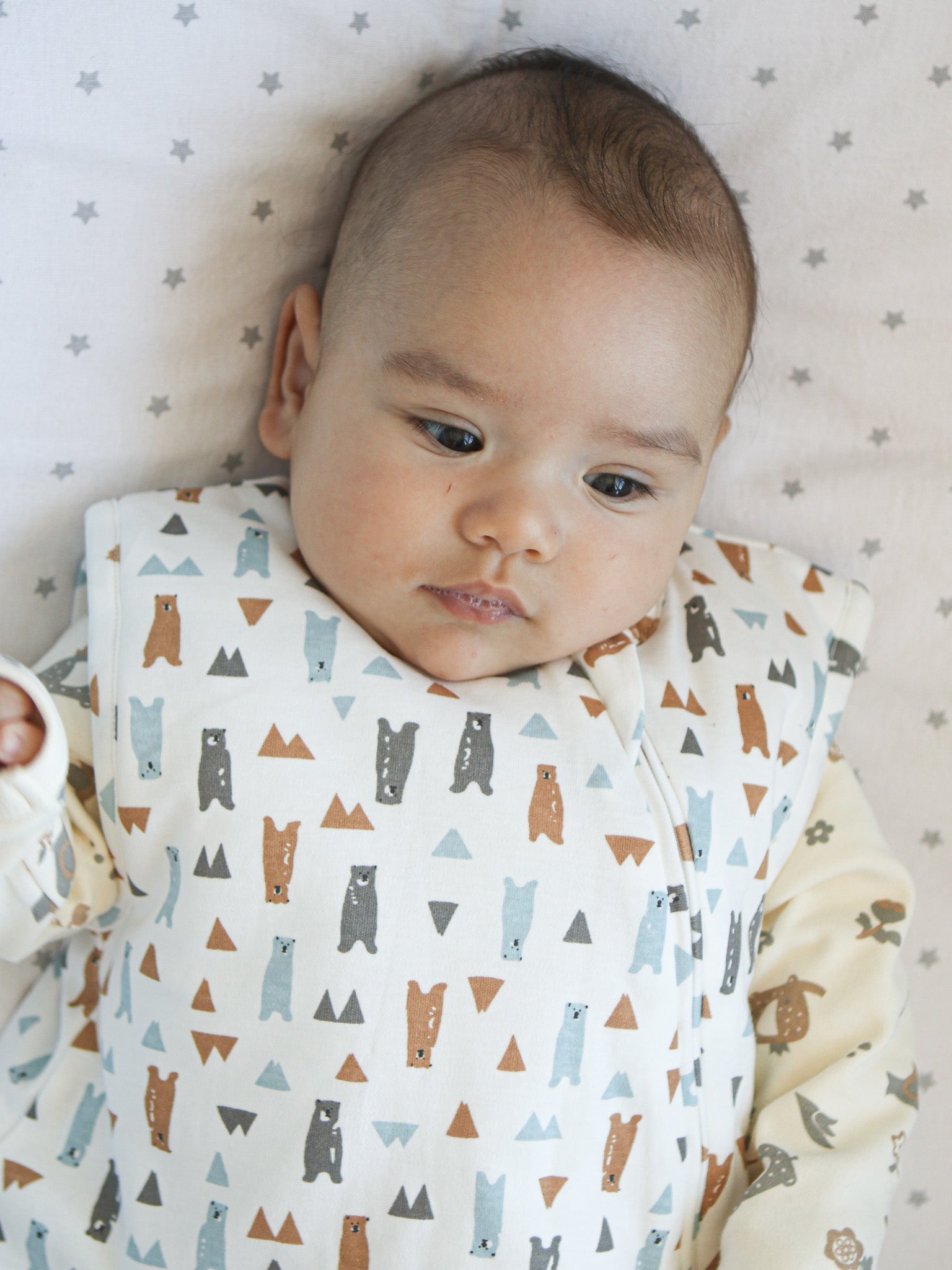 Saco de Dormir Gota Tog 2.5 Osos