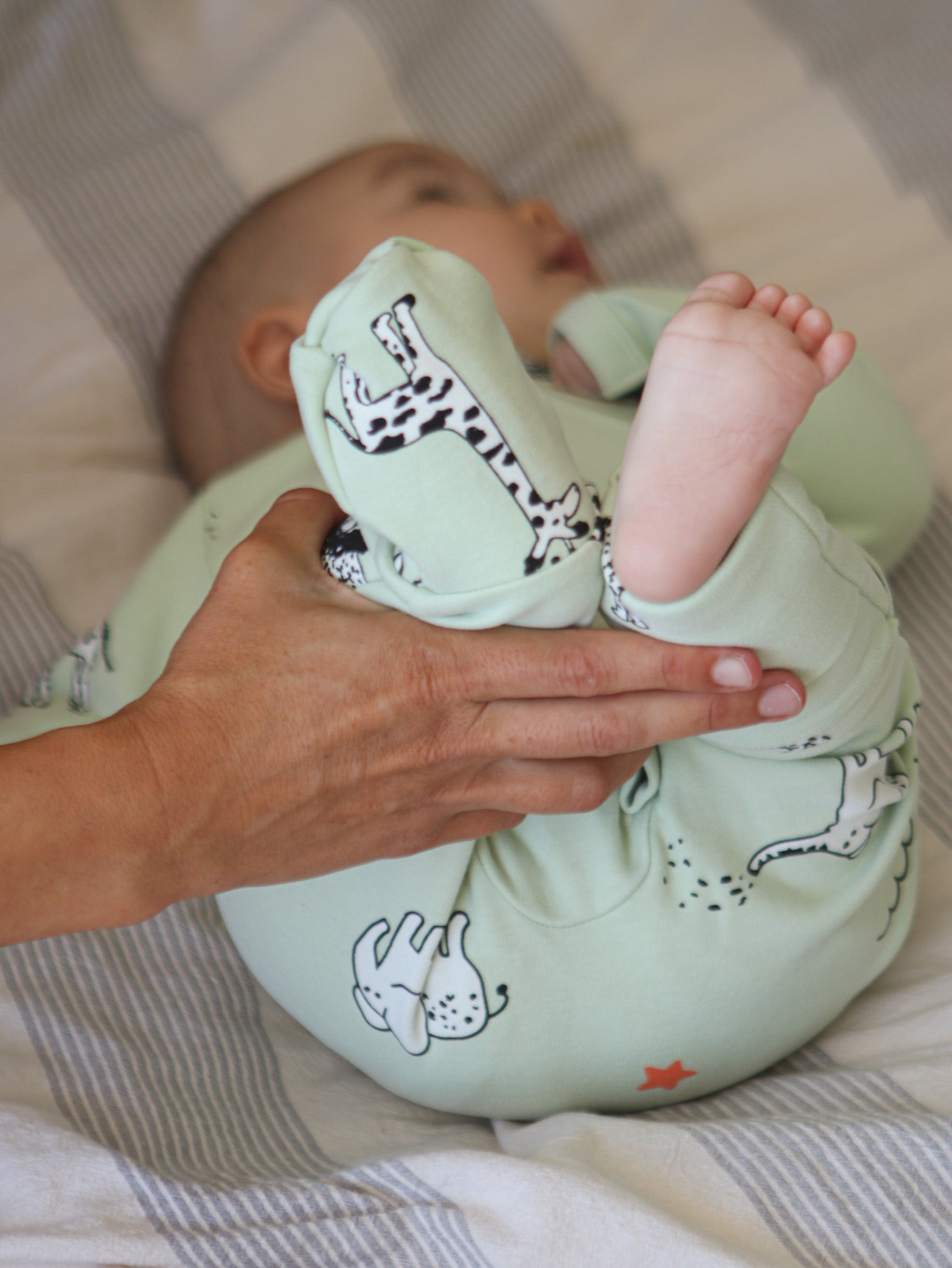 Enterito Austral - Animales Verde - Algodón 260 grs