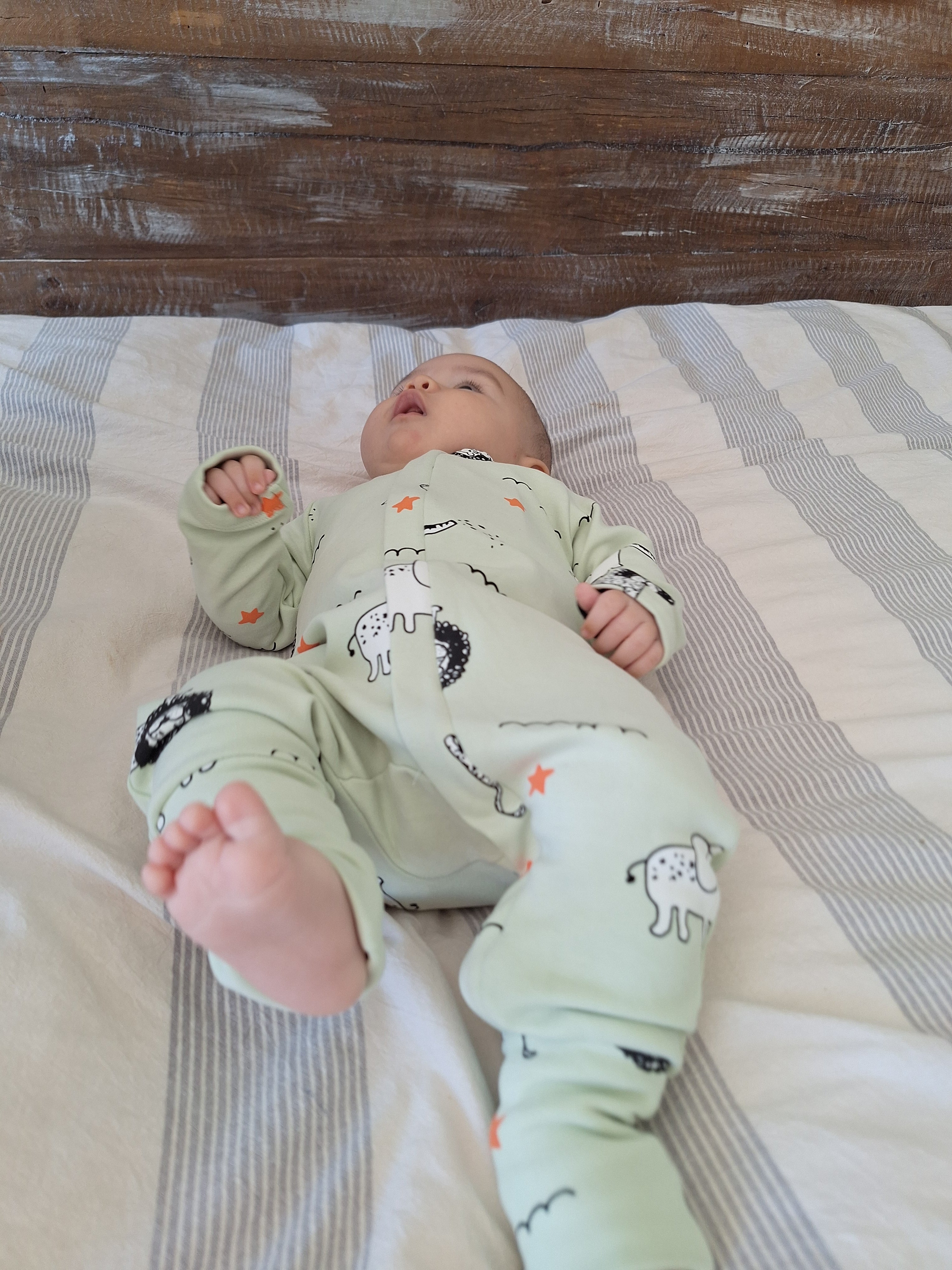 Enterito Austral - Animales Verde - Algodón 260 grs